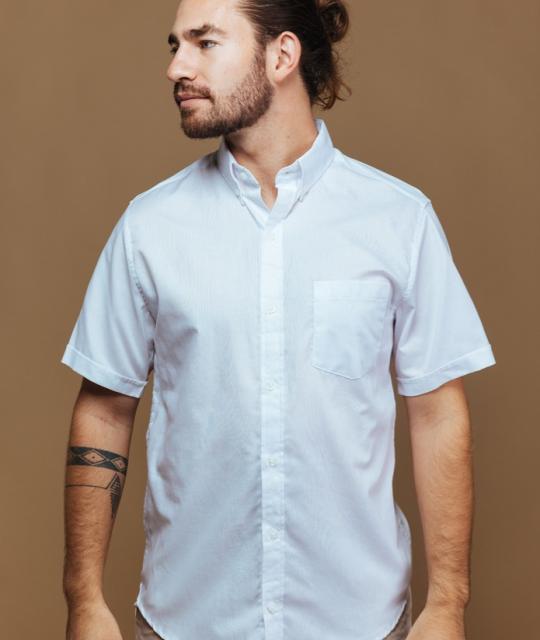 Camisa básica manga corta 100% Algodón Premium